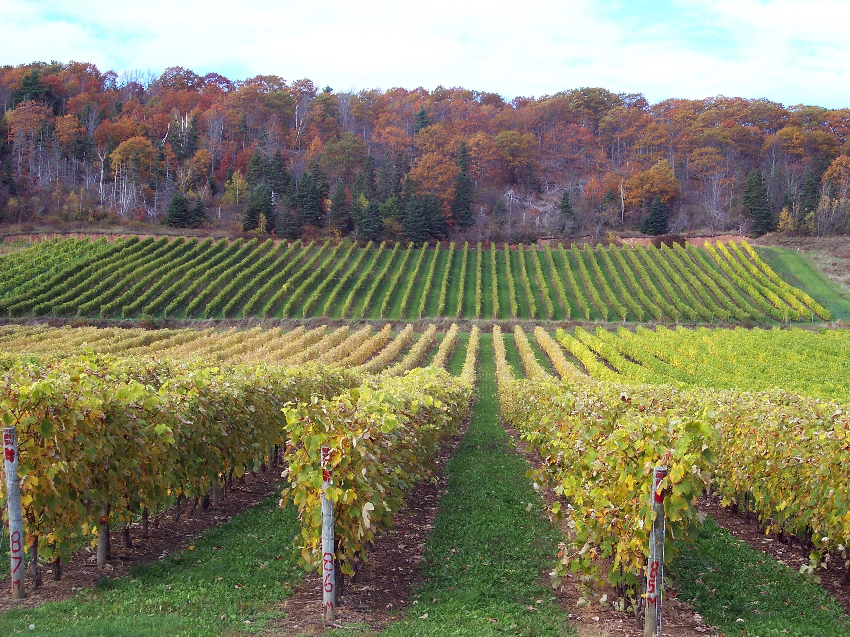 Anson: Bordeaux 2015 behind the scenes – part two