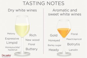 Read-Wine-Tasting-Notes-Graphic-630x417