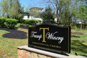 Invest into Wine, Sure Holdings, Fine wine Investment, Good Returns, Trump Winery, President Donald Trump, Wine populism,