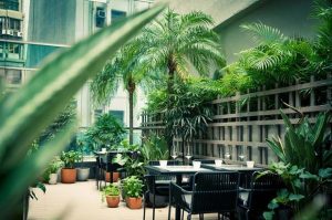 Invest into Wine, Sure Holdings, Fine wine Investment, Good Returns, Wine Bar and Restaurant Reviews