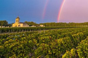 Invest into Wine, Sure Holdings, Fine wine Investment, Good Returns, Bordeaux châteaux, Bordeaux 2016 en primeur,