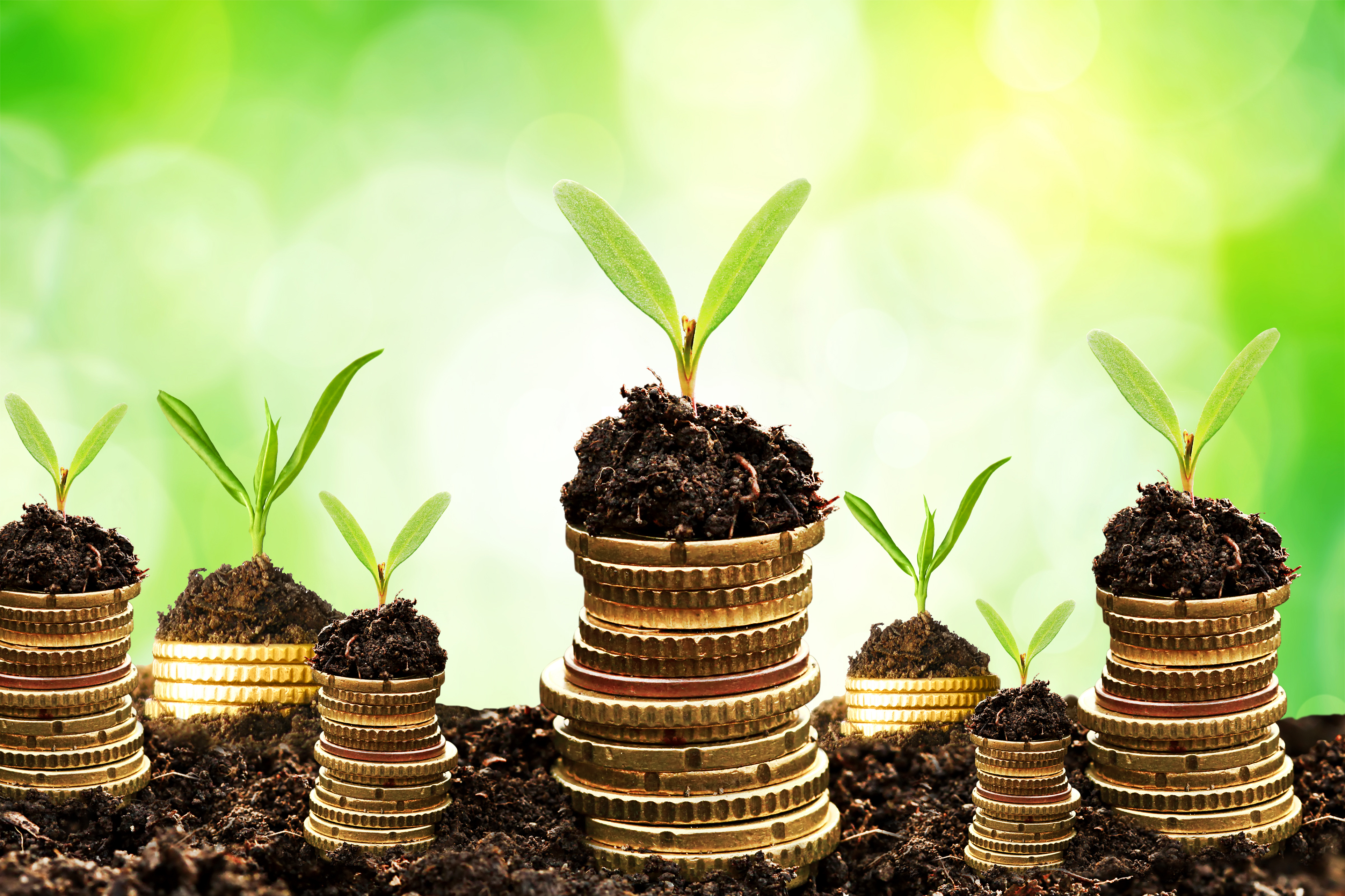 Keep Boosting your investment portfolio with great returns from the wine market!