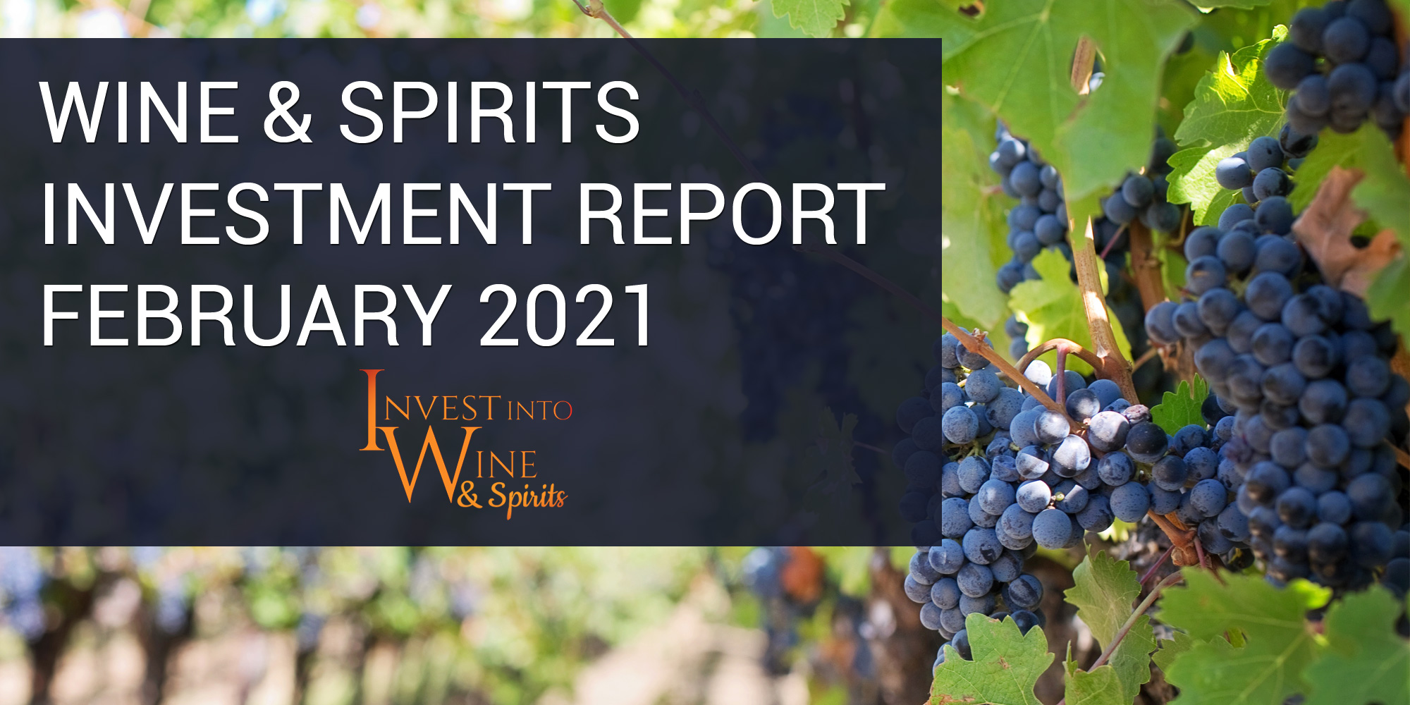 Wine & Spirits Investment Report February 2021