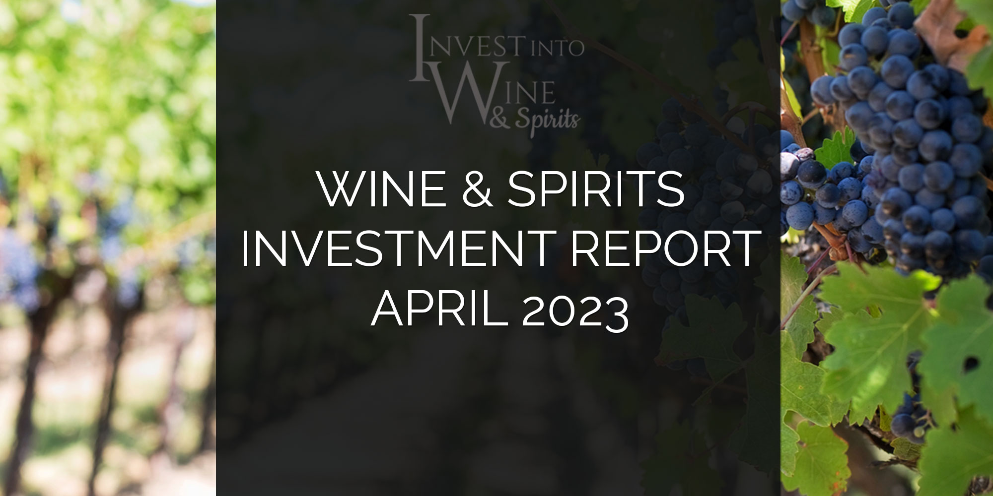 Wine & Spirits Investment Report April 2023